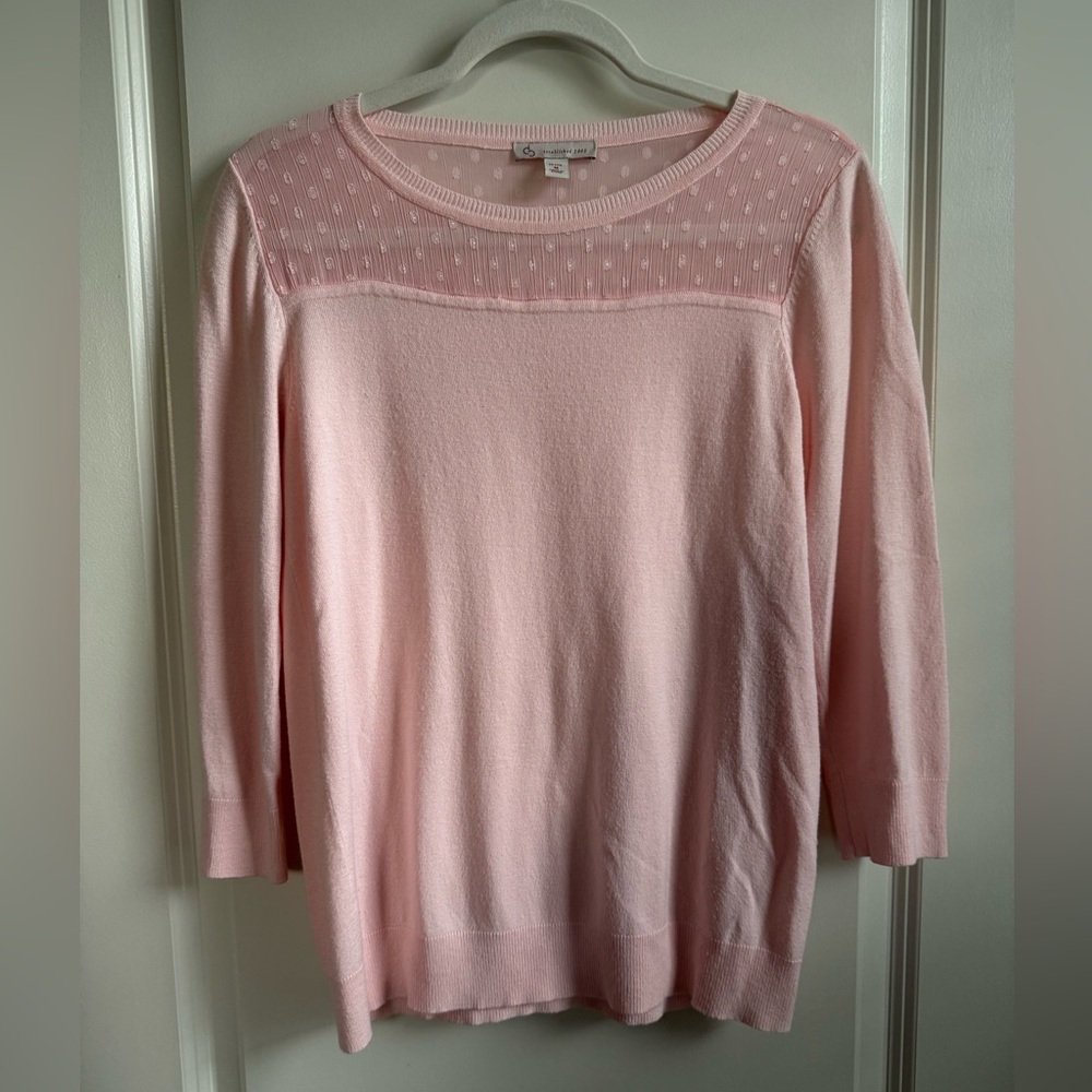 Pink Knit Sweater with Sheer Detail by DB. Women’s size petite medium